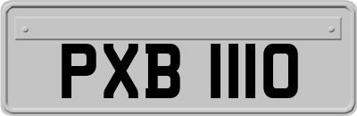 PXB1110