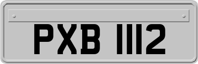 PXB1112