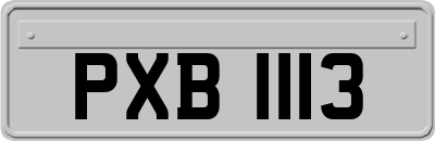 PXB1113