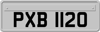 PXB1120