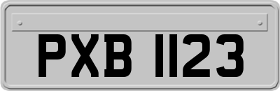 PXB1123