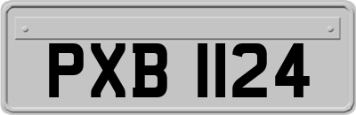 PXB1124