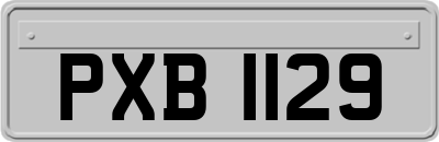 PXB1129