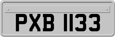 PXB1133