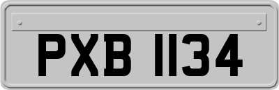 PXB1134