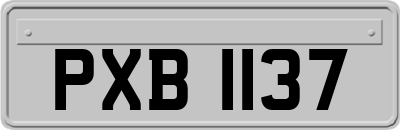 PXB1137