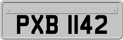 PXB1142