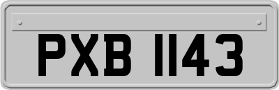 PXB1143