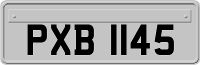 PXB1145