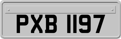 PXB1197