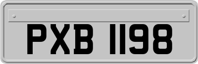 PXB1198