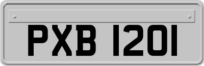 PXB1201