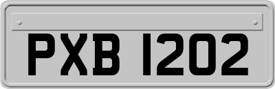 PXB1202