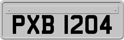 PXB1204