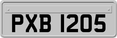 PXB1205