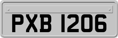 PXB1206