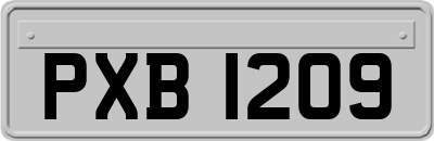 PXB1209