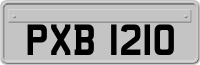 PXB1210