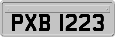 PXB1223