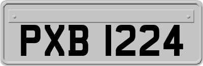 PXB1224