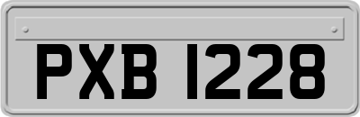 PXB1228