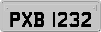 PXB1232