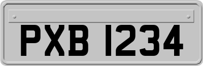 PXB1234