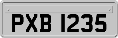 PXB1235