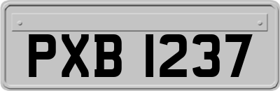 PXB1237