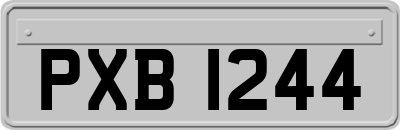 PXB1244