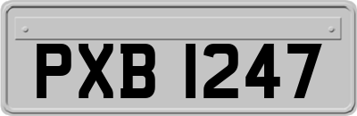 PXB1247