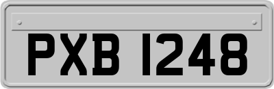 PXB1248