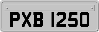 PXB1250