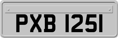 PXB1251