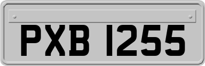 PXB1255