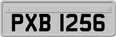 PXB1256