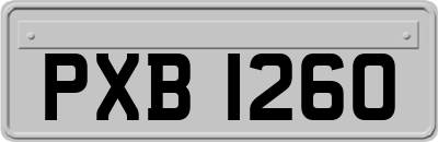 PXB1260