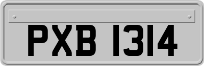 PXB1314