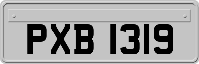 PXB1319