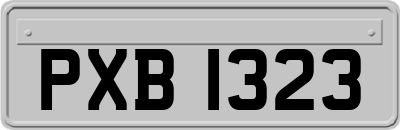 PXB1323