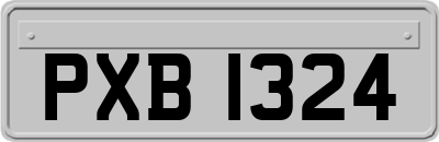 PXB1324