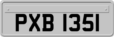 PXB1351