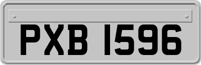 PXB1596