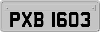 PXB1603