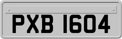 PXB1604