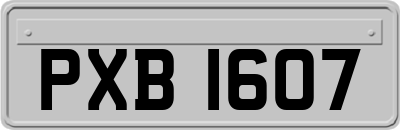 PXB1607