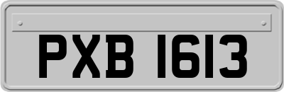 PXB1613