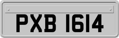 PXB1614