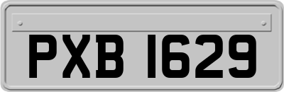 PXB1629