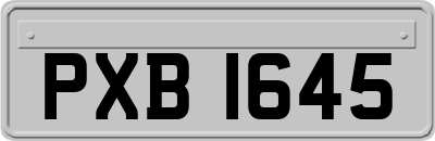 PXB1645